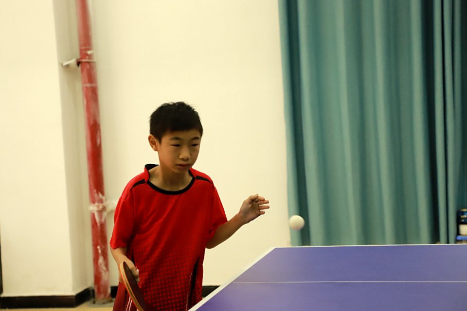 basel, pages basel, pages